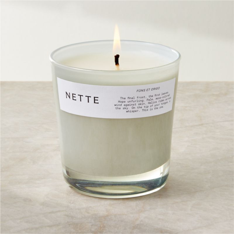 Nette Fons Et Origo Soy Wax Candle | CB2 | CB2