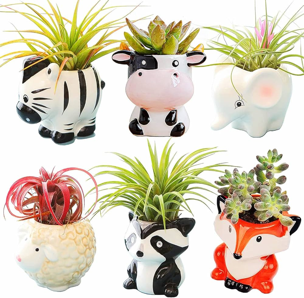 6 Pcs Air Plant Holders Cartoon Shaped Small Succulent Pot Animal Planter Small Ceramic Plant Pot... | Amazon (US)