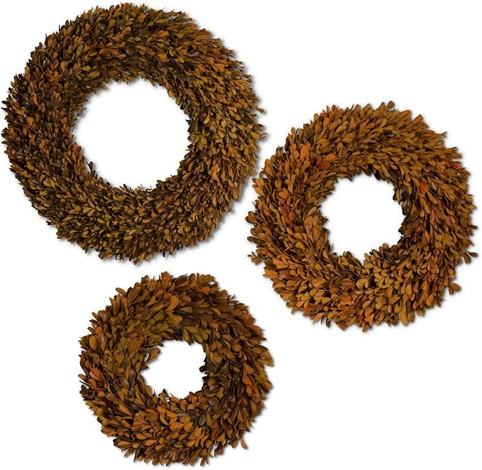 K&K Interiors 41605A Set of 3 Orange Preserved Boxwood Wreaths | Amazon (US)