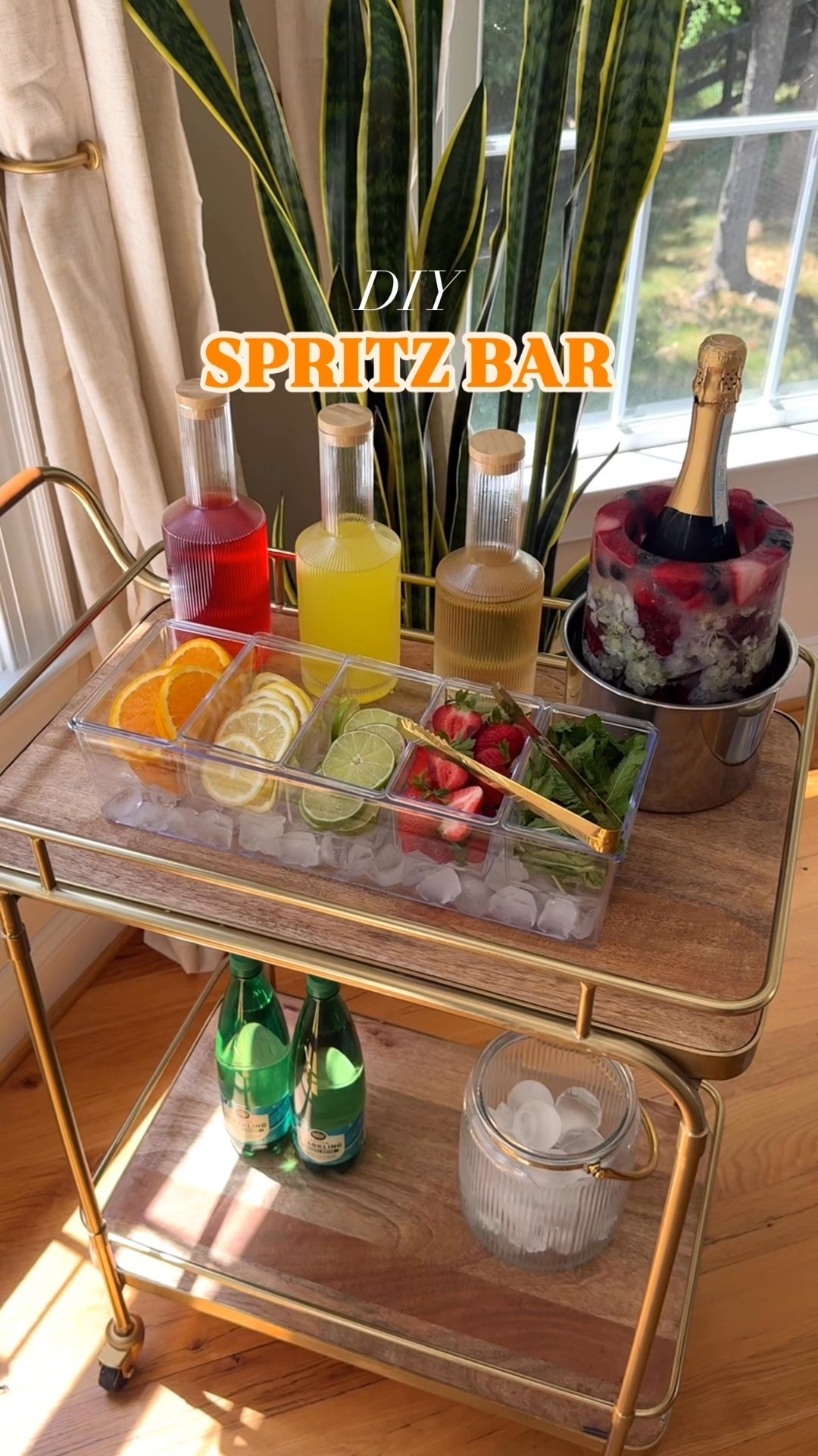 DIY Spritz Bar 🥂 everything I used is linked below!

#LTKSeasonal #LTKFindsUnder50