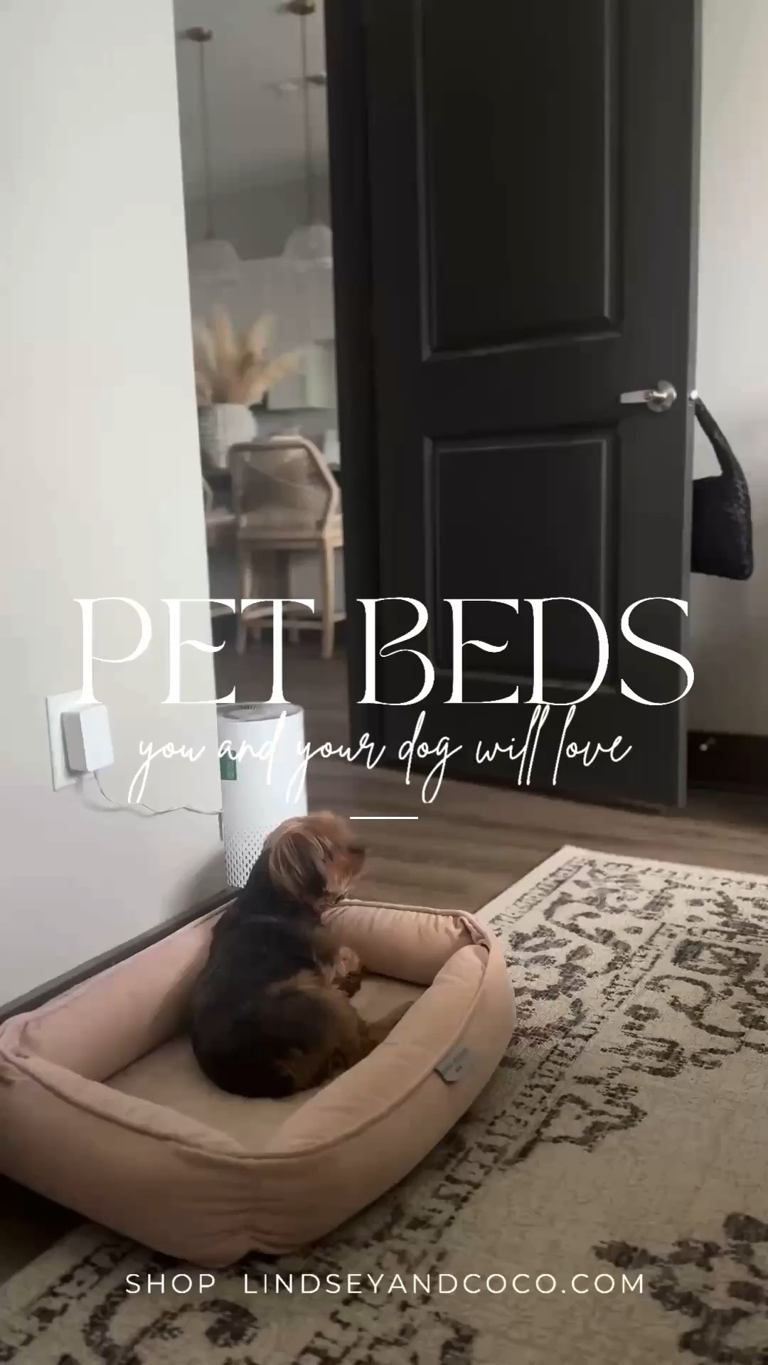 Dog Beds You’ll Love

Save 15% at maxbone.com with code LINDSEYANDCOCO

Scroll to shop maxbone.

#LTKPets



#LTKmomlife #LTKHome