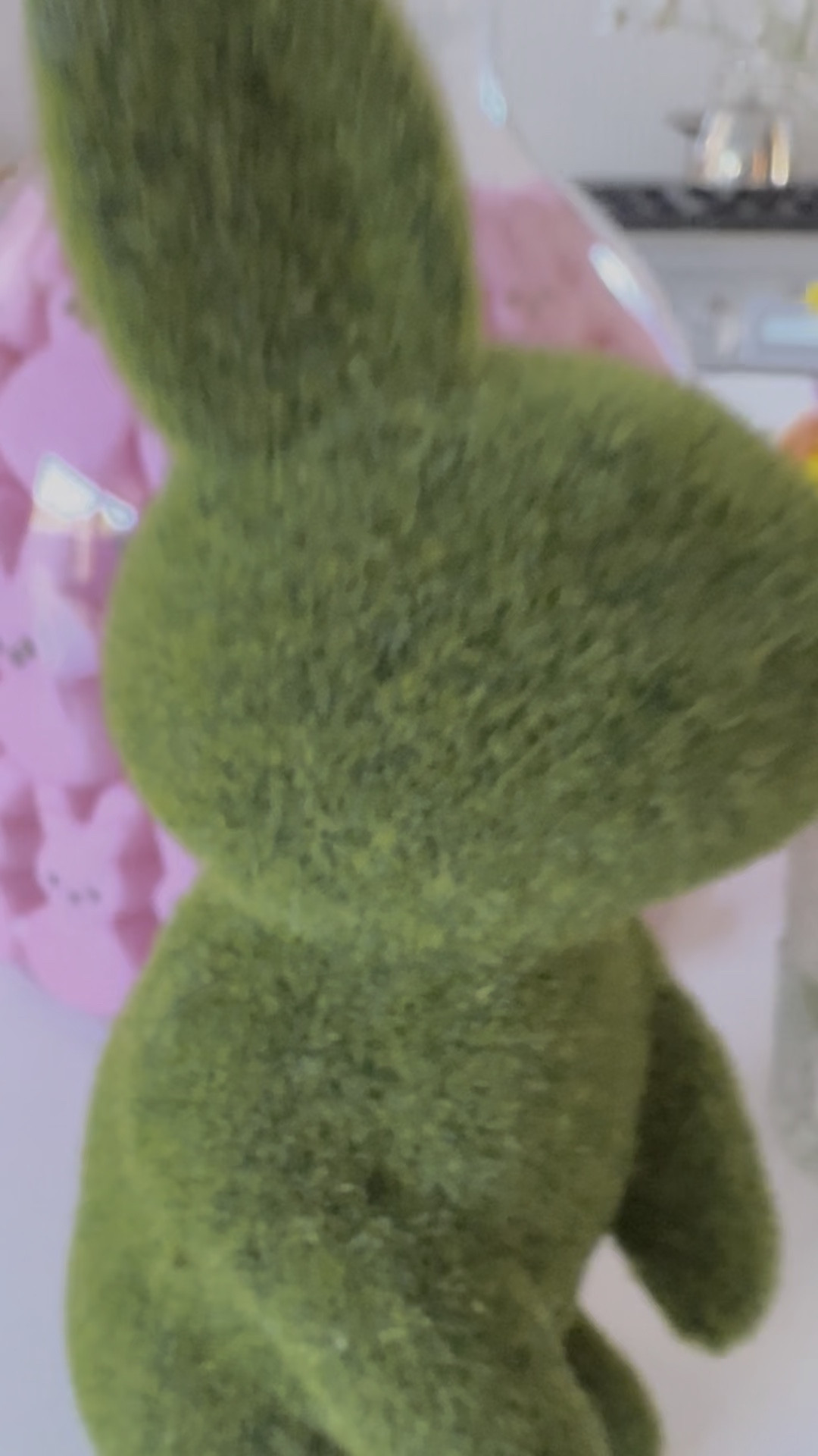 oh my bunny!
i’ve always wanted to do this! take a vase and put it inside a larger vase and fill the empty space between w peeps! how cute for easter season!!!!! 

it’s the little things that make memories stick like glitter ✨

#LTKSeasonal #LTKHome #LTKFamily