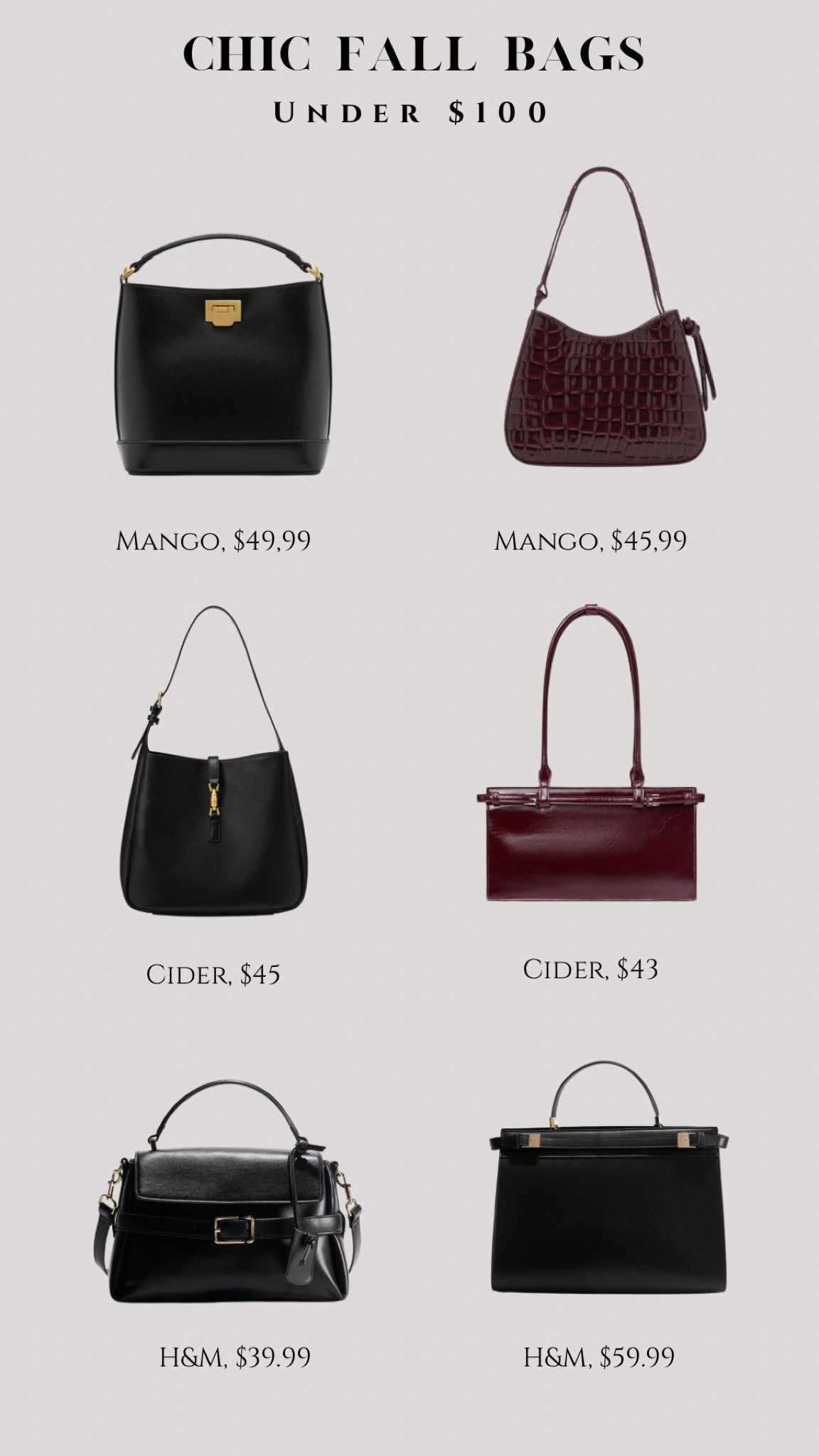 Chic Fall Bags Under $100 

#LTKluxury #LTKeurope #LTKstyletip