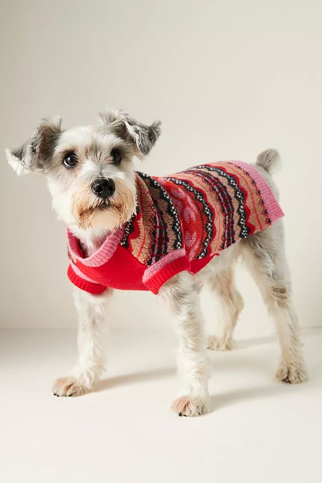 Fairisle Floral Dog Sweater | Anthropologie (US)