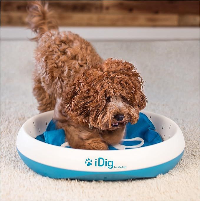 iDig Digging Toy by iFetch | Amazon (US)