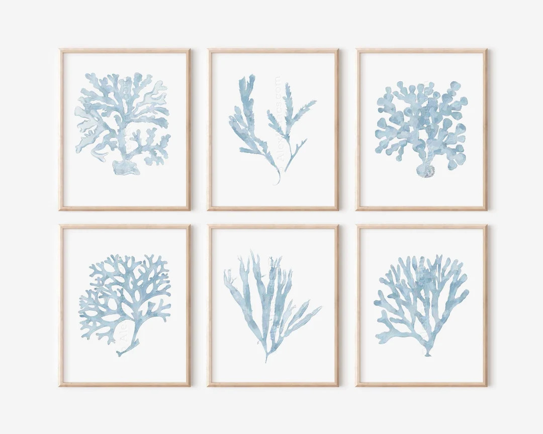 Light Blue Coral Prints: Hamptons Style Wall Art, Set of 6 - Etsy | Etsy (US)