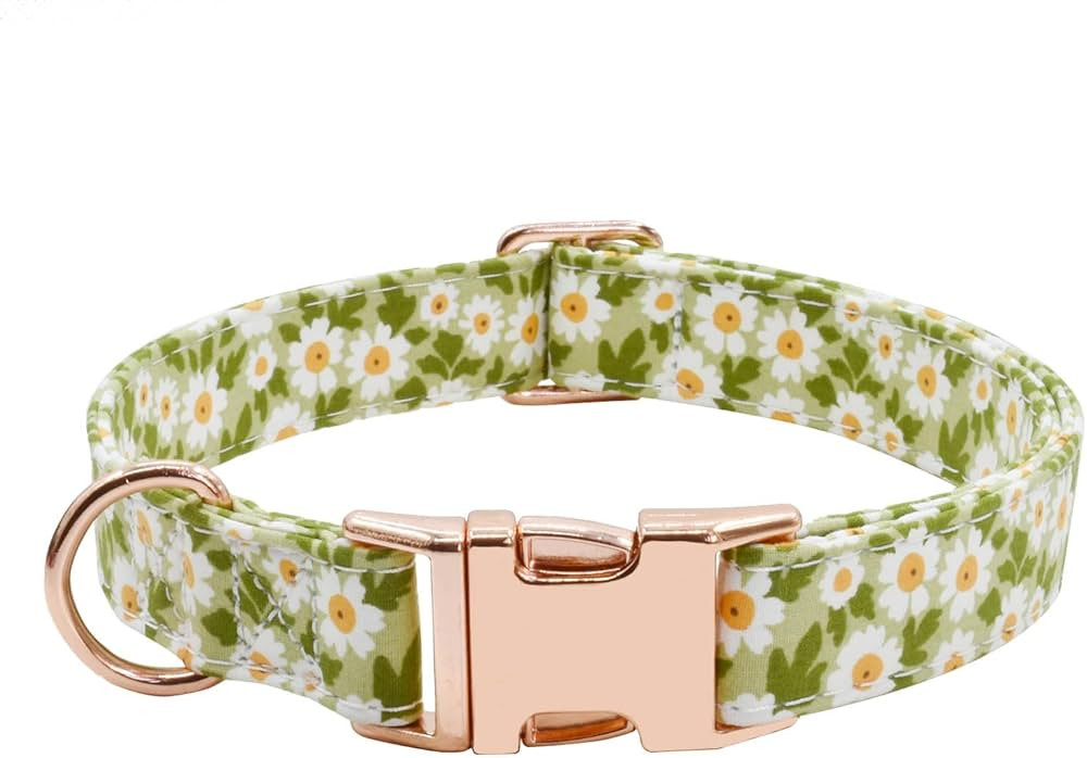 Metal Buckle Dog Collar, Durable Adjustable Dog Collar Soft for Small Medium Large Dogs (003-Gree... | Amazon (US)
