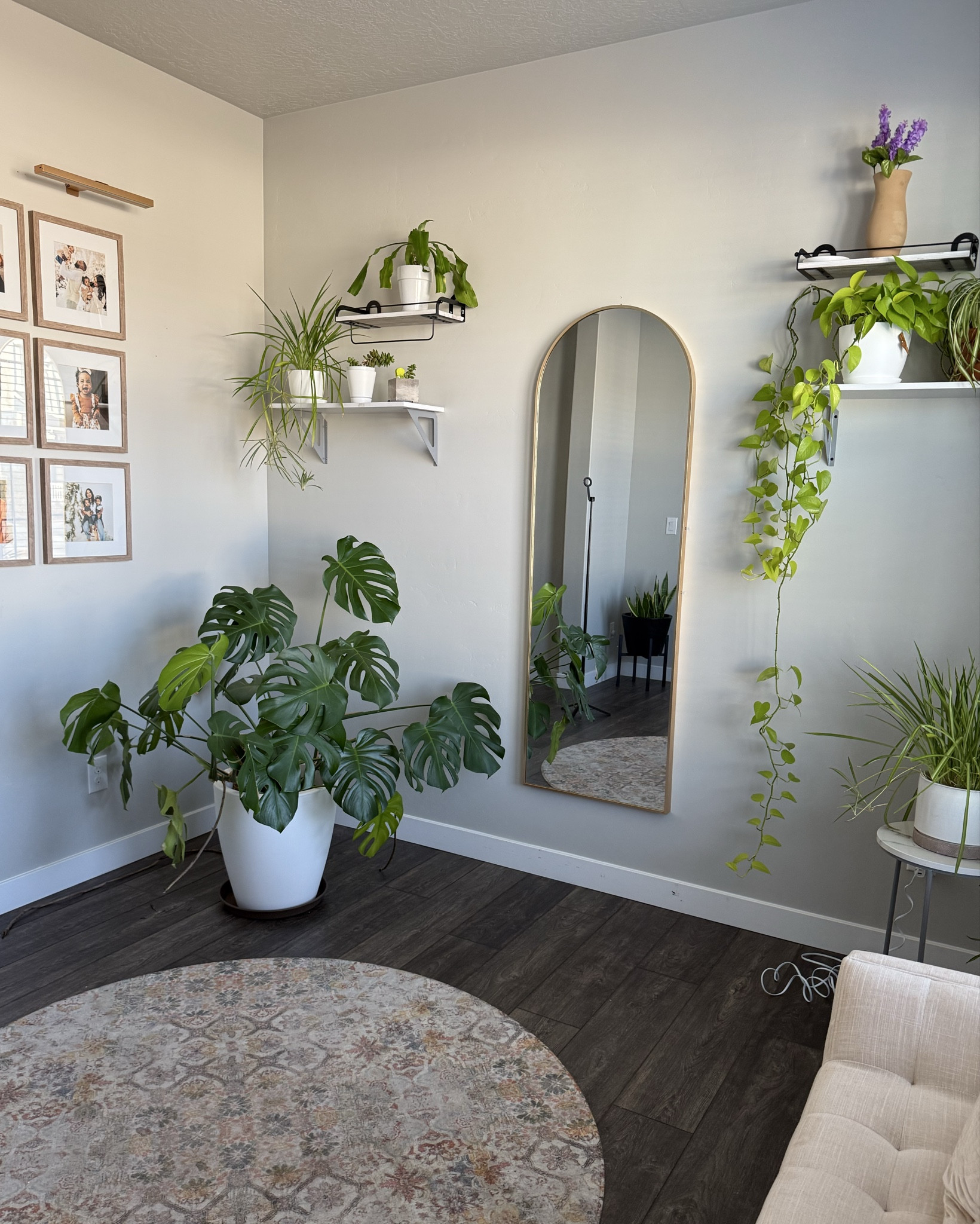 Front room- Plant Room Inspo 🌱🪴

#LTKMostLoved 

#LTKHome #LTKSeasonal