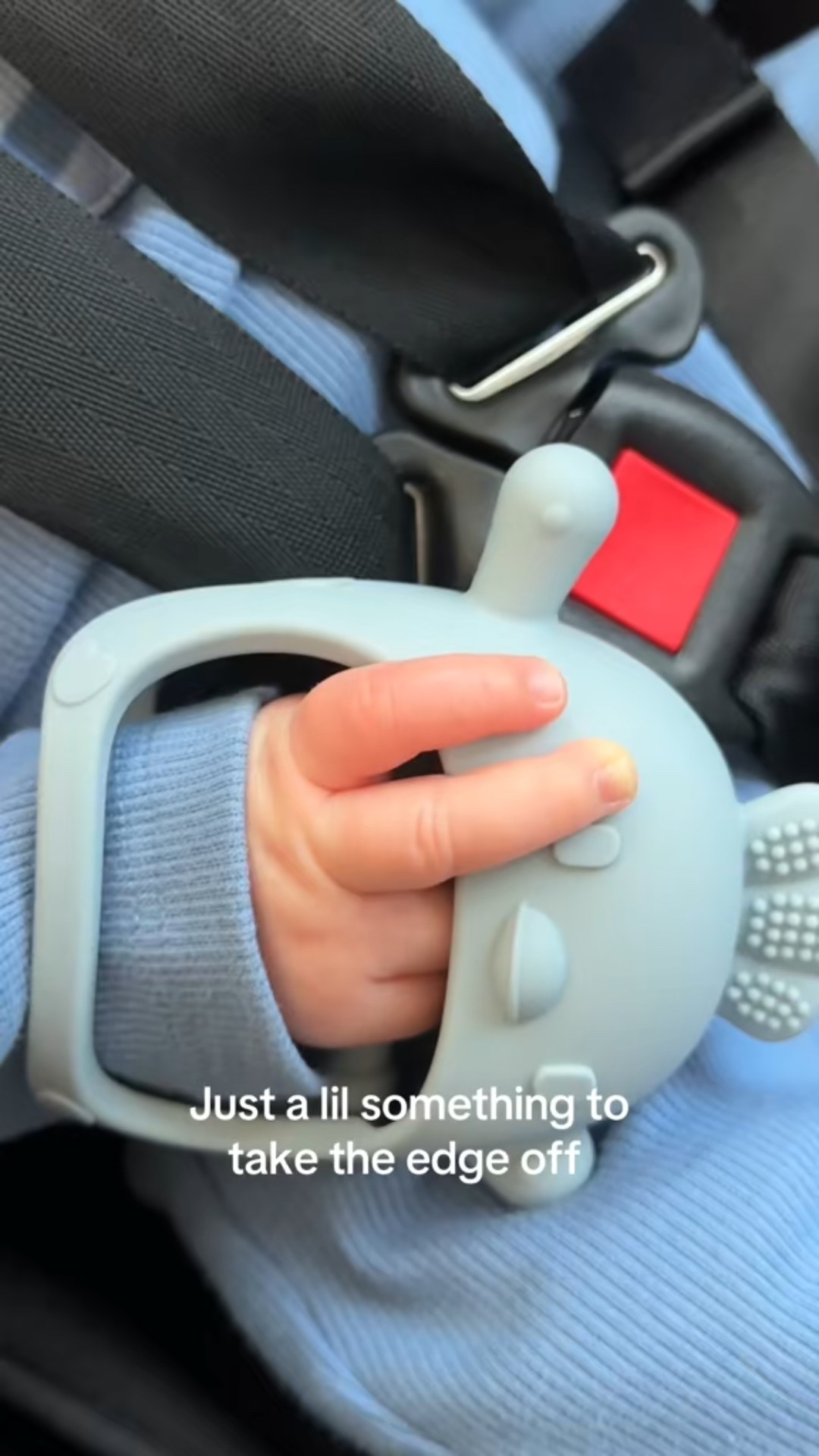 My baby’s best friend & teether Mr. chicken little 