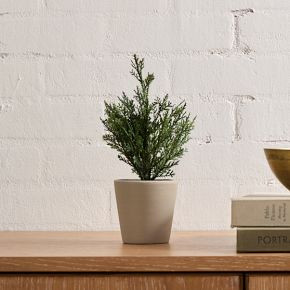 Faux Potted Subtle Glitter Pine Tabletop Tree | West Elm (US)
