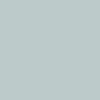 Smoke (2122-40) - Paint Sample | Samplize