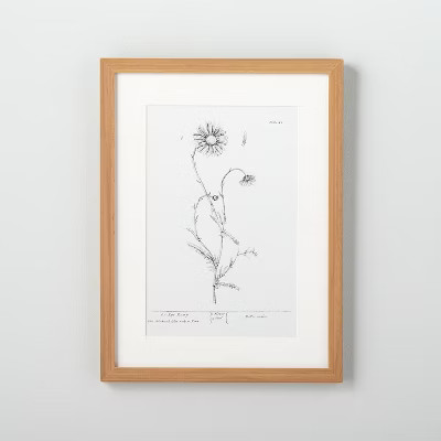 12" x 16" Ox Daisy Floral Wall Art - Hearth & Hand™ with Magnolia | Target