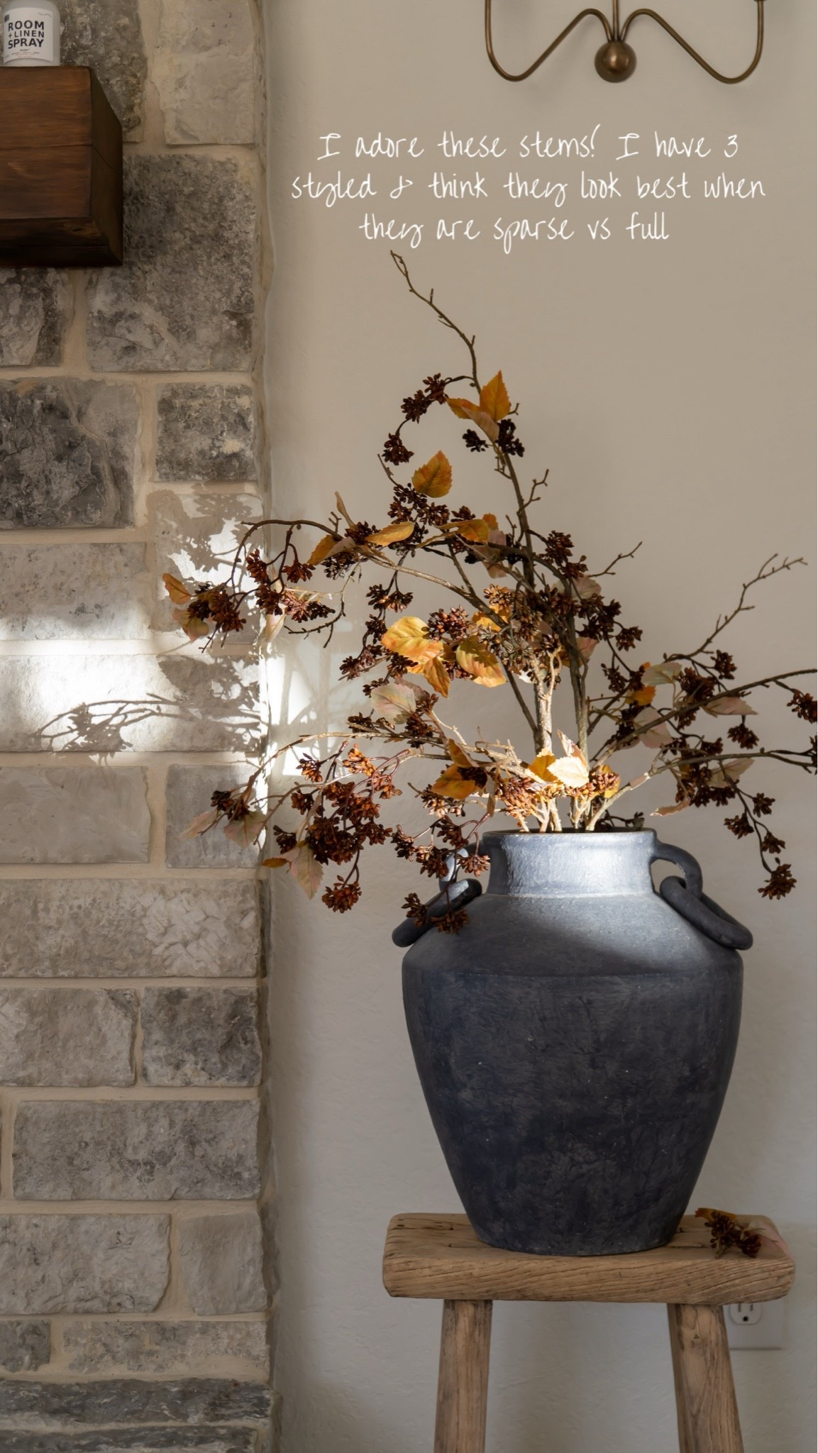 The prettiest fall stems for a moody, natural look 🍂🤎

#LTKHome #LTKSeasonal #LTKSaleAlert