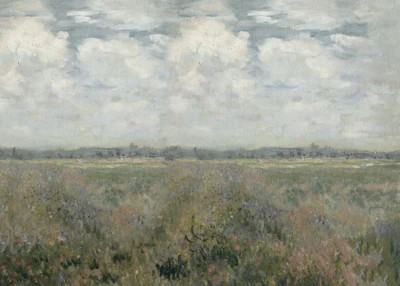 Field of Flowers | Collection Prints