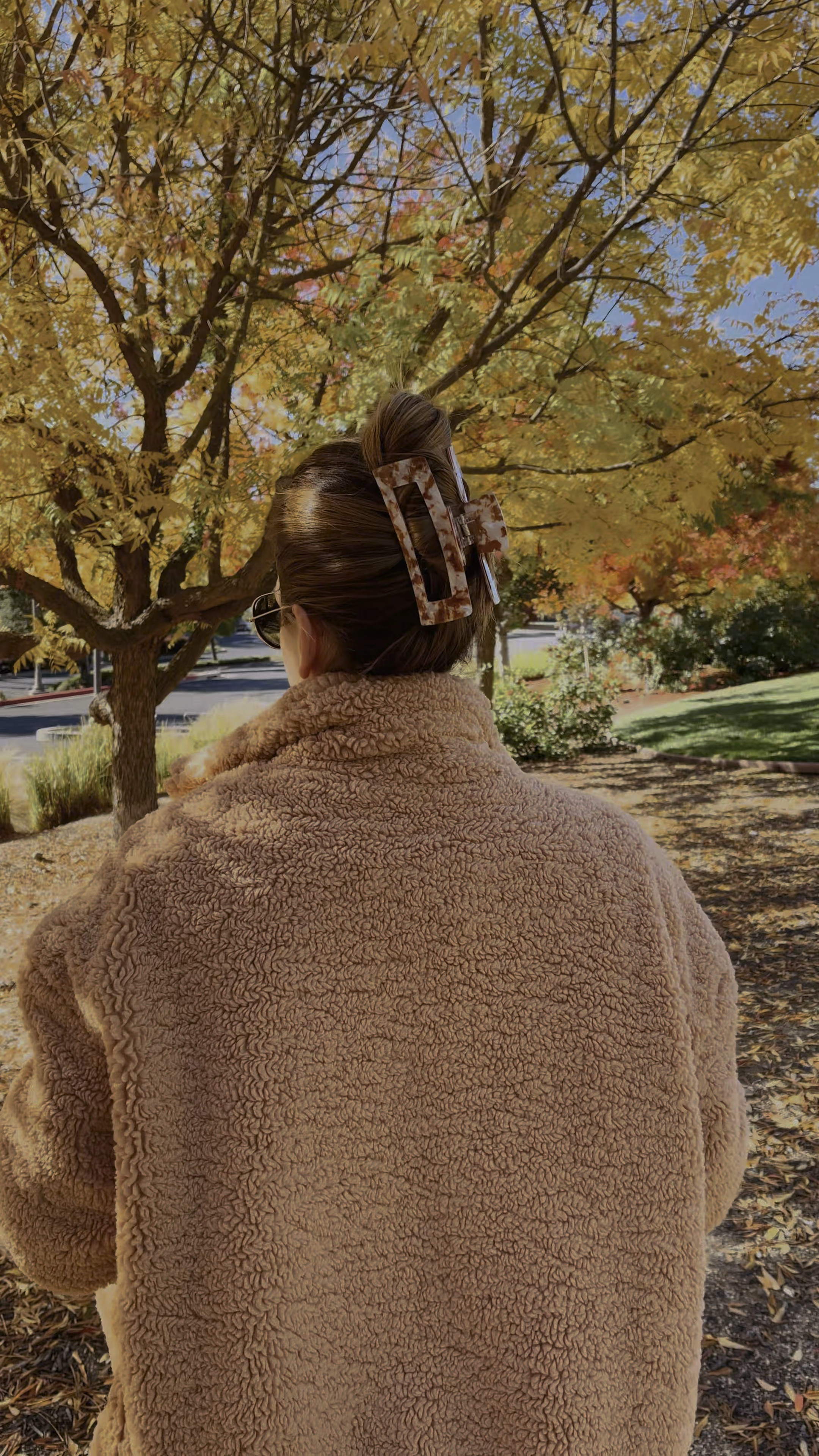 Favorite jumbo claw clip for thick or long hair 🤎 It’s a great stocking stuffer!

#LTKHoliday #LTKbeauty #LTKSeasonal