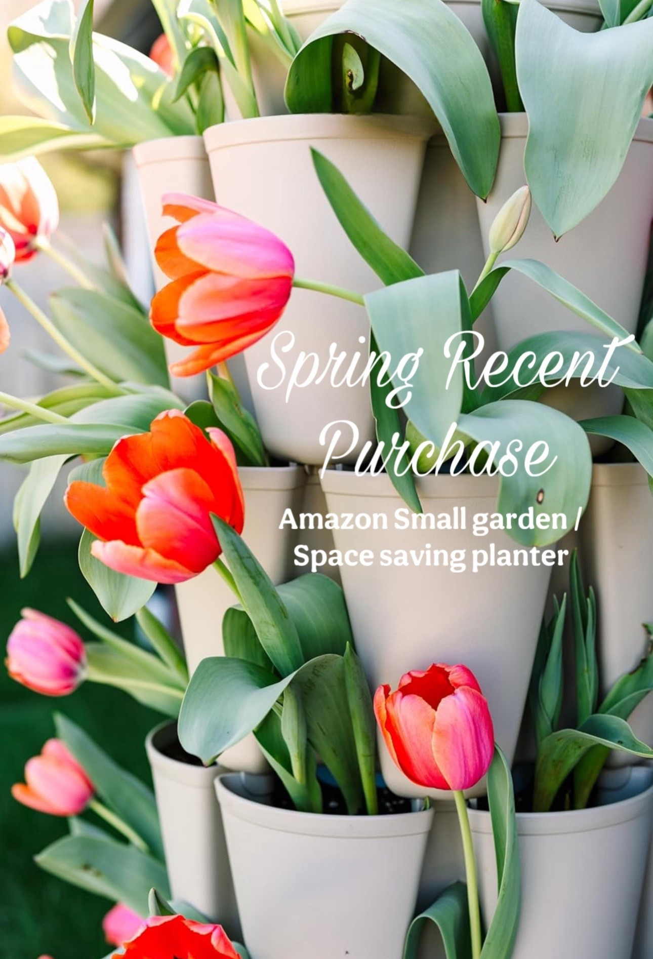 This is such a smart solution for small spaces 🤍
A vertical planter that lets you create a full garden moment without taking up any footprint—perfect for patios, balconies, or even tucked into a corner of your yard. It gives that lush, layered look without the clutter.


vertical planter garden, small space gardening ideas, stacked planter system, patio garden solution, balcony garden inspiration, tulip planter vertical, space saving planters outdoor, container gardening ideas, spring flowers planter, compact garden design, modern outdoor planters, layered plant styling, small patio decor ideas, amazon garden finds


#smallspacegarden #verticalplanter #patiogarden #containergardening #springflowers

#LTKdayinmylife #LTKSeasonal #LTKHome
