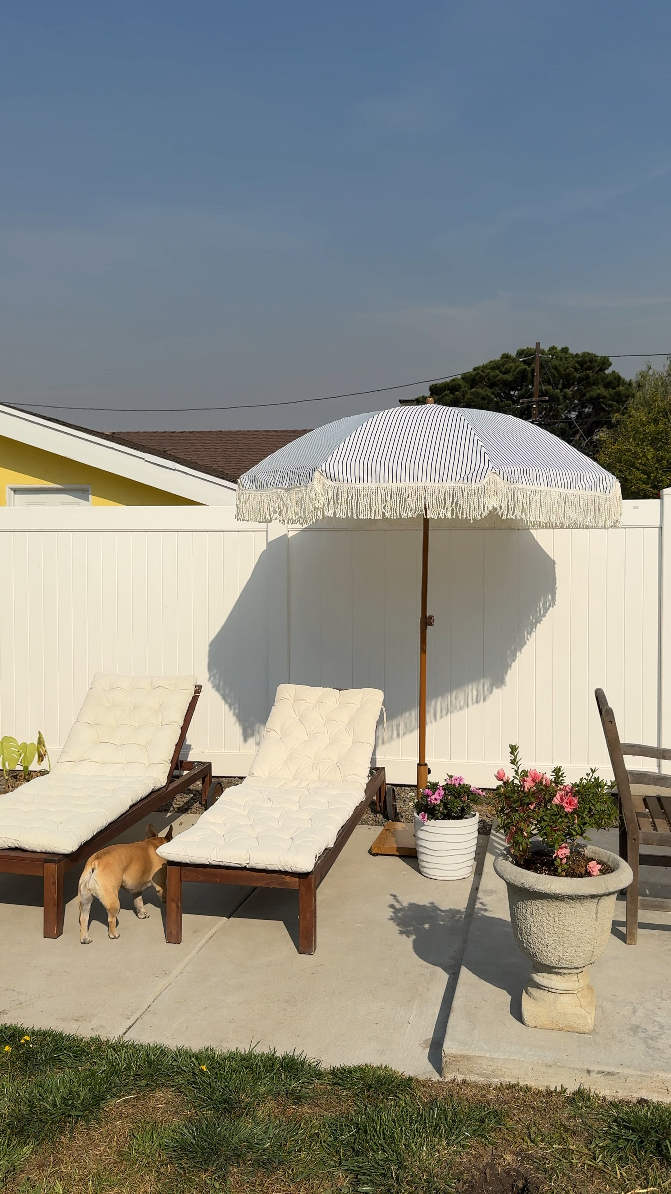 Lounge chairs are from IKEA, umbrella and stand are linked! 

#LTKHome #LTKSeasonal #LTKFindsUnder100