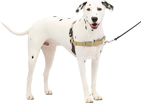 PetSafe Easy Walk No Pull Dog Harness: Stop Pulling & Choking - Martingale Front Clip - Chest Hal... | Amazon (US)