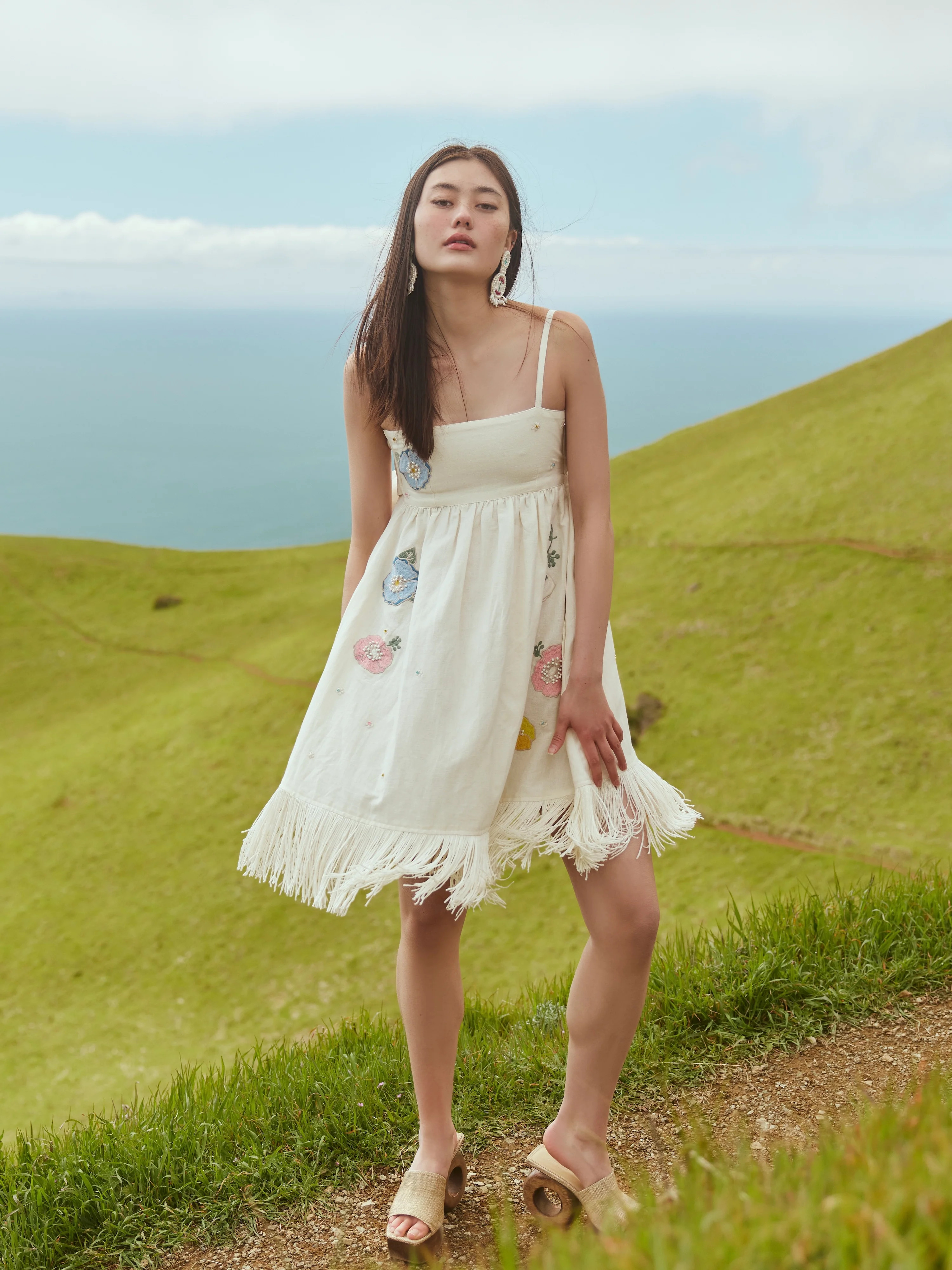 Gavin Beaded Embroidered Mini Dress | Eddy