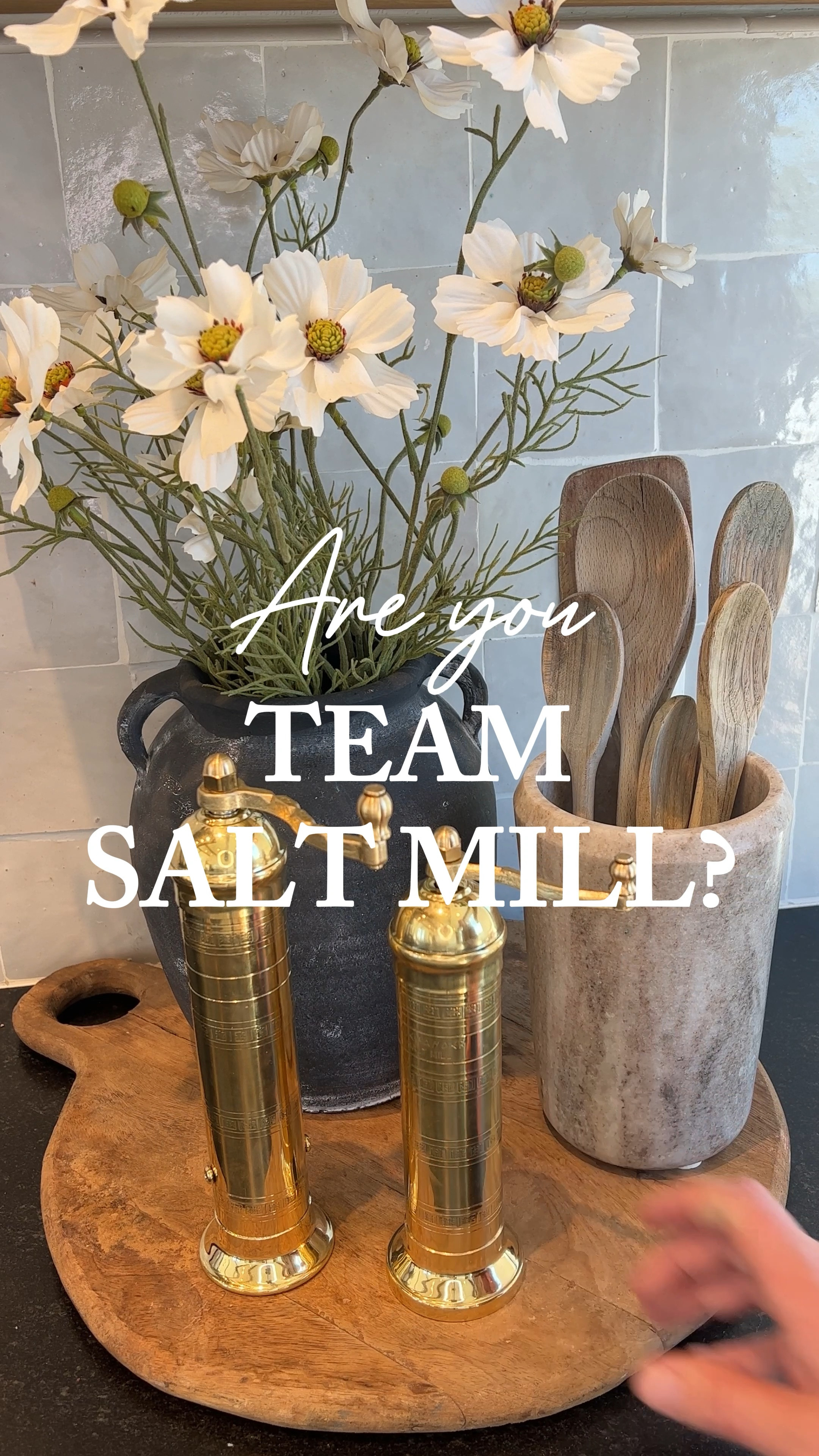 Are you team salt mill, or team salt bowl??

#saltcellar
#kitchenstyle
#kitchendesign
#kitchendecor
#kitchenaccessories
#kitchendecor
#saltandpepper
#saltmill
#peppermill
#utensilholder
#fauxflowers

#LTKHome #LTKVideo