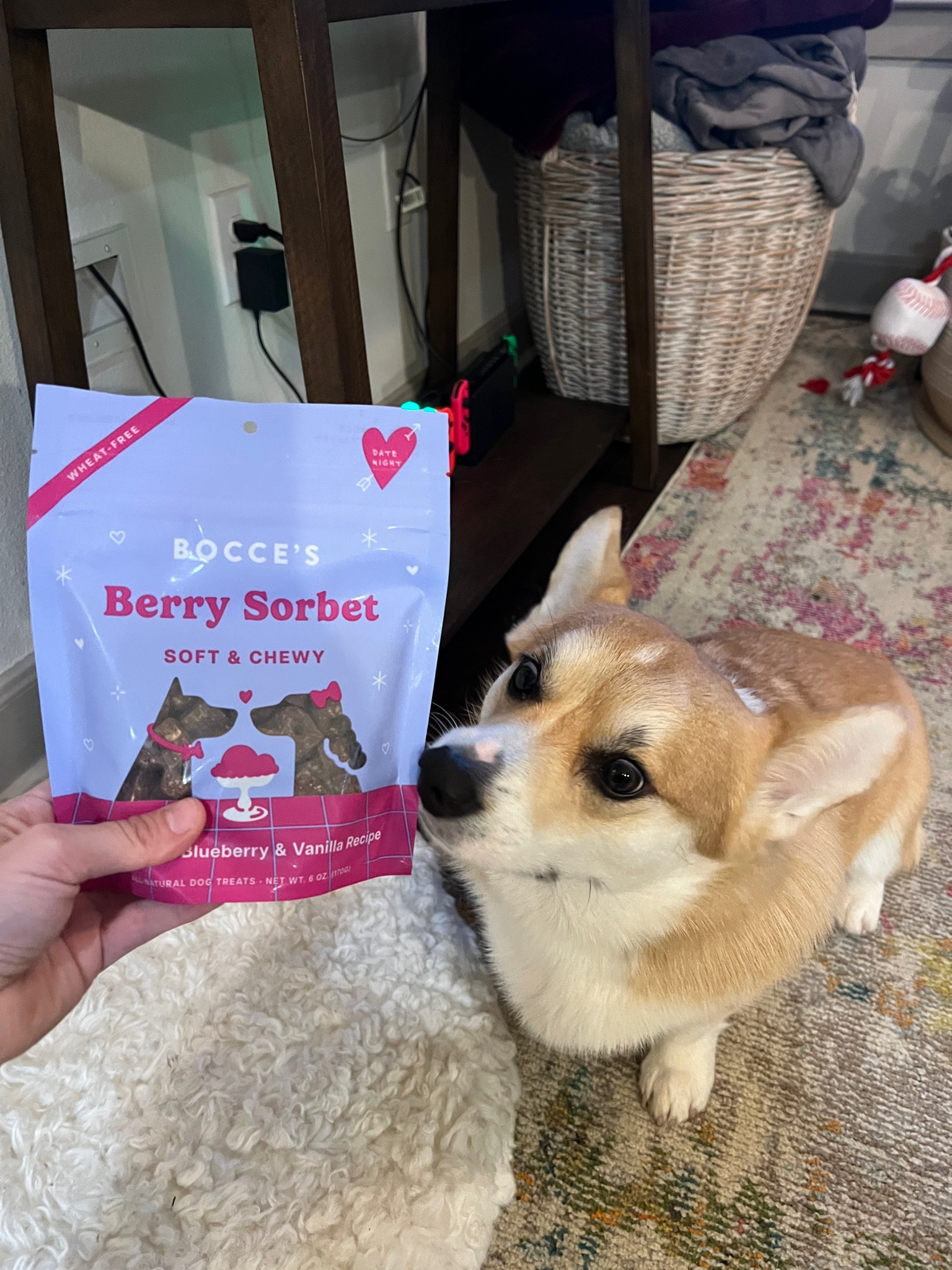 3 more days of Bocce’s Bakery summer sale! 25% off all Bocce’s and Antelope Pet products with code CEEDEE25! 

#LTKFindsUnder50 #LTKSummerSales