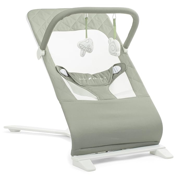 Baby Delight Alpine Deluxe Portable Baby Bouncer | Infant | 0-6 Months | 100% GOTS Certified Orga... | Amazon (US)