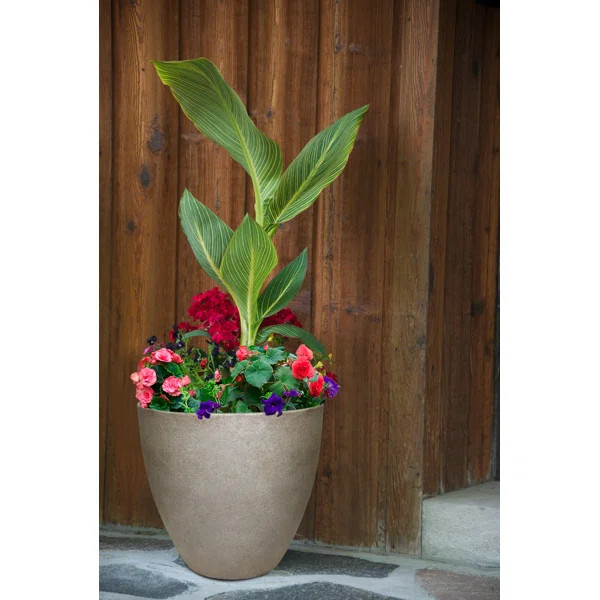 Round Egg Resin Planter | Wayfair North America