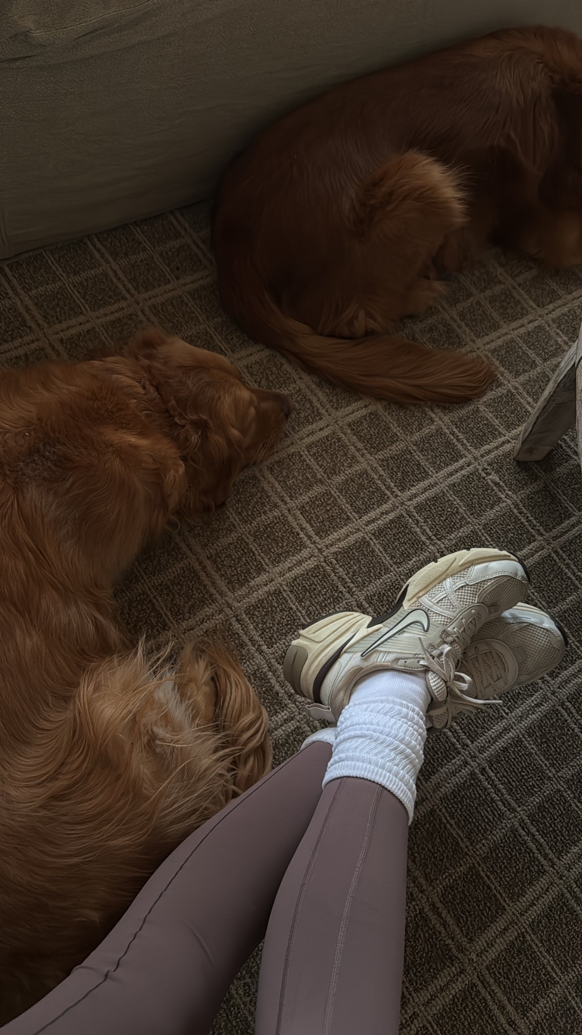 These Pilates socks are so cute

#LTKStyleTip #LTKShoeCrush #LTKActive