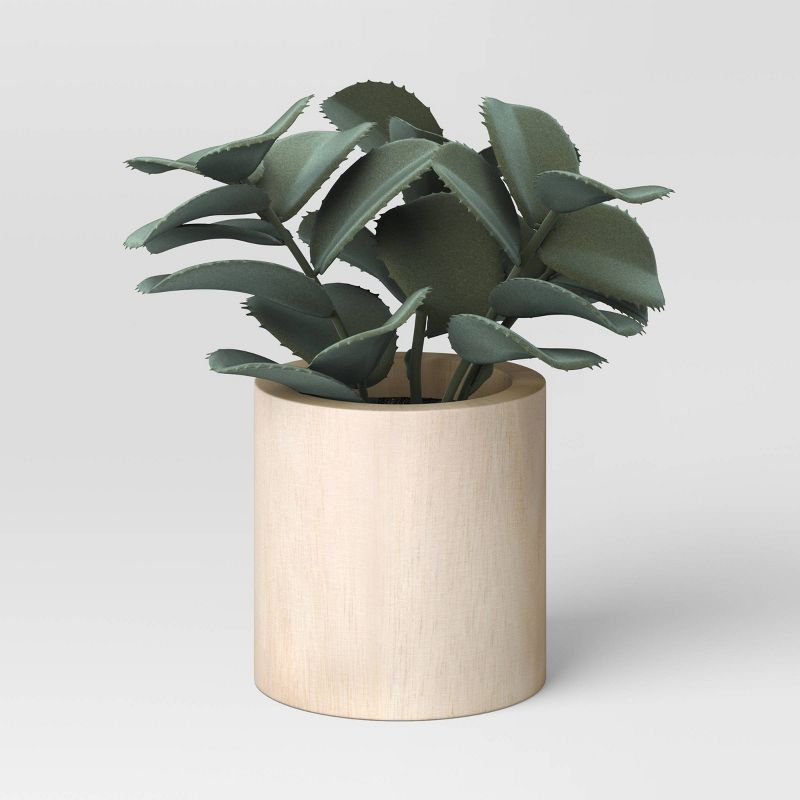 Jade Plant on Wood Pot Gray - Threshold™ | Target