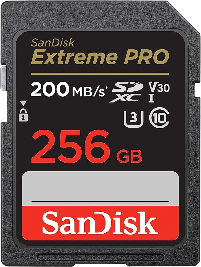 SanDisk 256GB Extreme PRO SDXC UHS-I Memory Card - C10, U3, V30, 4K UHD, SD Card - SDSDXXD-256G-G... | Amazon (US)