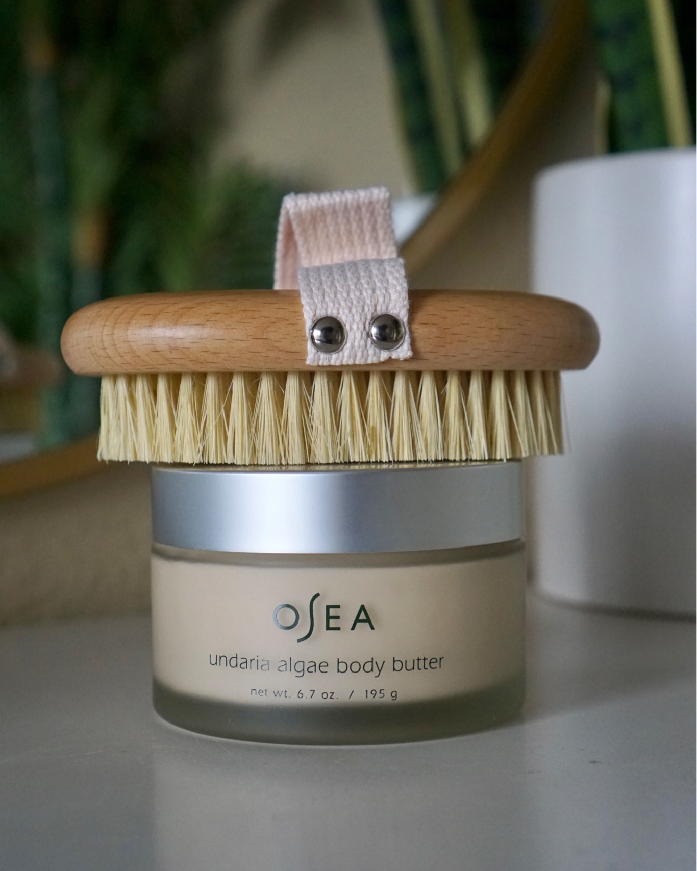 Osea Malibu Undaria Algae Body Butter & Body Brush

#LTKbeauty #LTKFind