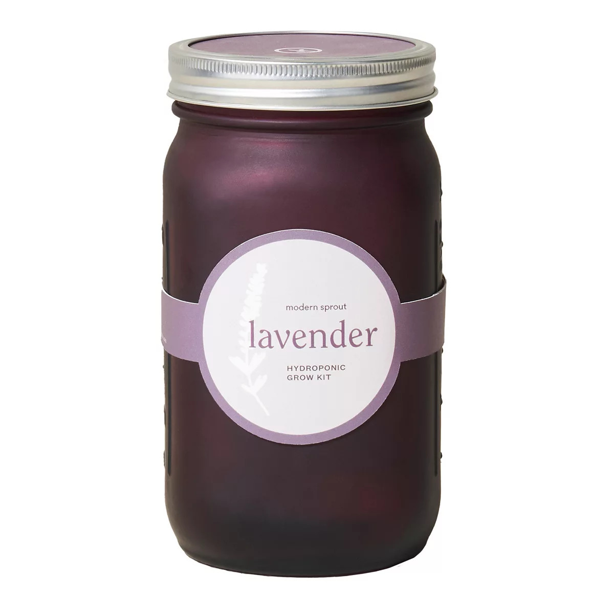 Modern Sprout Garden Jar - Lavender | Kohl's