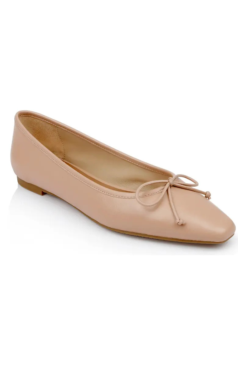 Cam Pointed Toe Ballet Flat (Women) | Nordstrom