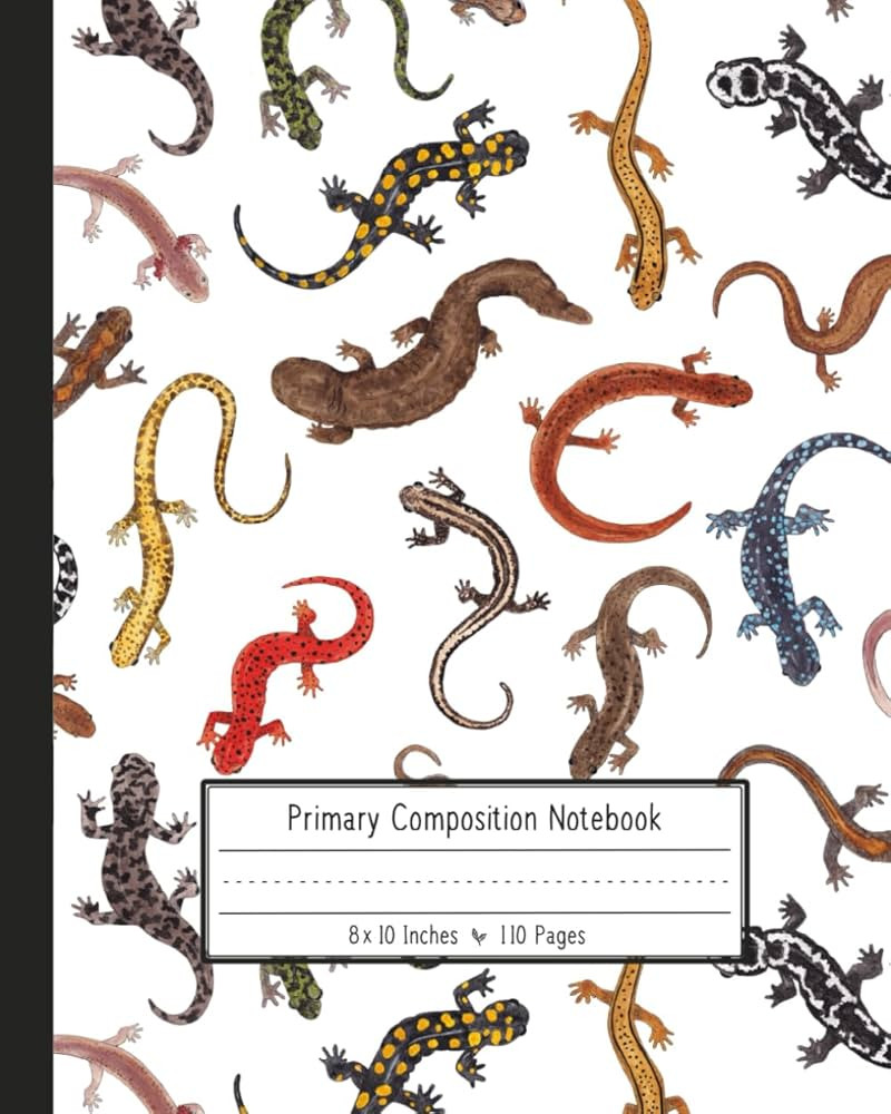 Primary Composition Notebook: For Grades K-2 with Picture Space for Drawing and Dotted Midline - ... | Amazon (US)