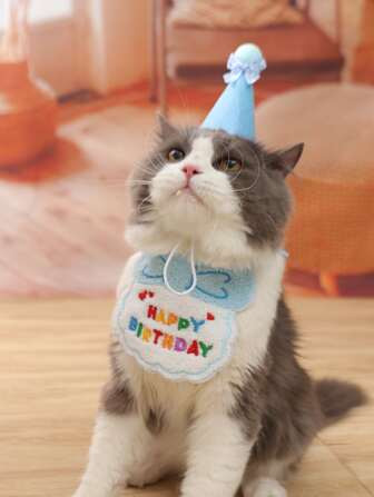 2pcs Pet Birthday Celebration Set | SHEIN