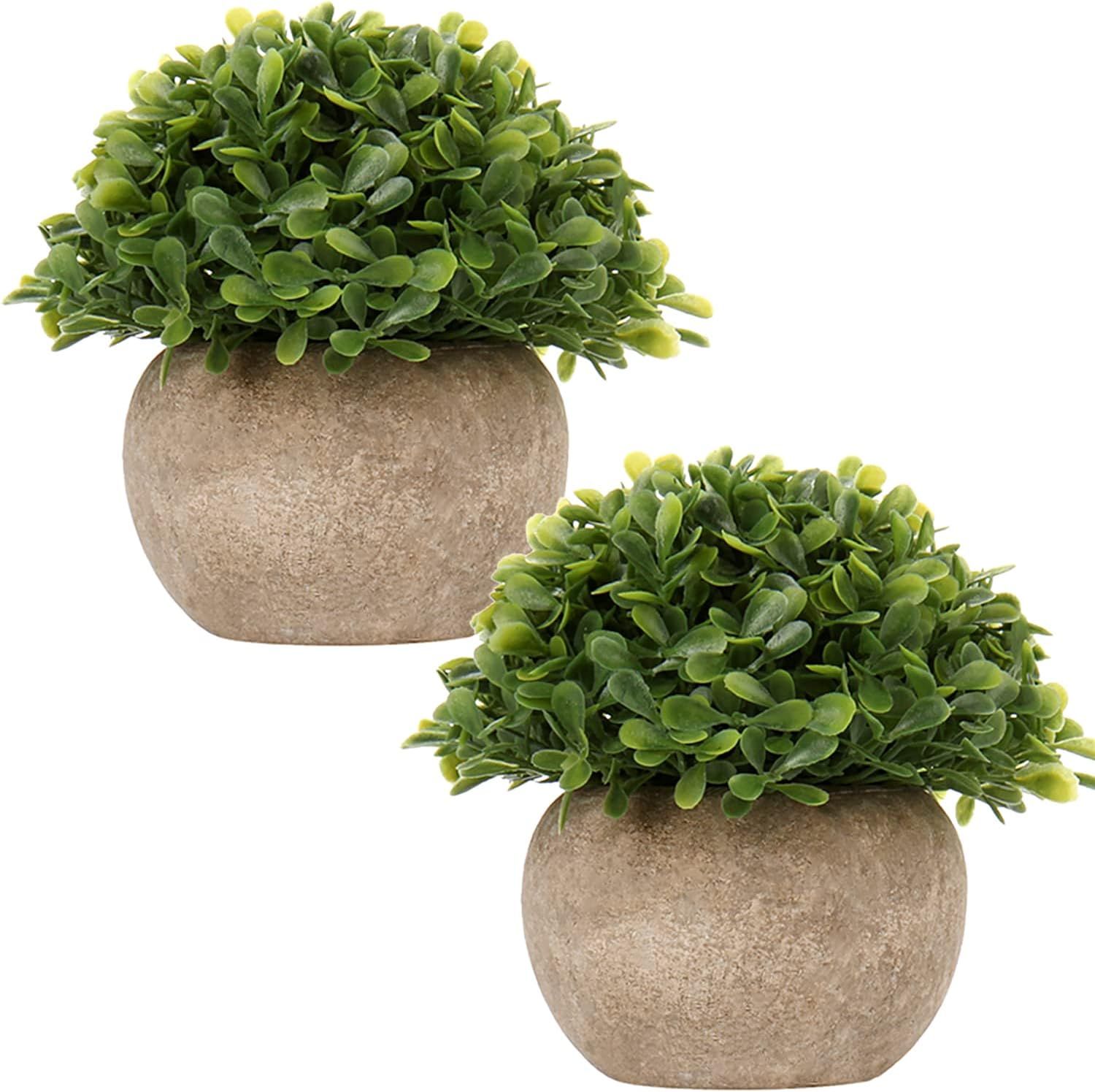 Small Fake Plants Set of 2 Faux Potted Plant Mini Artificial Plants for for Home Table Office Roo... | Amazon (US)
