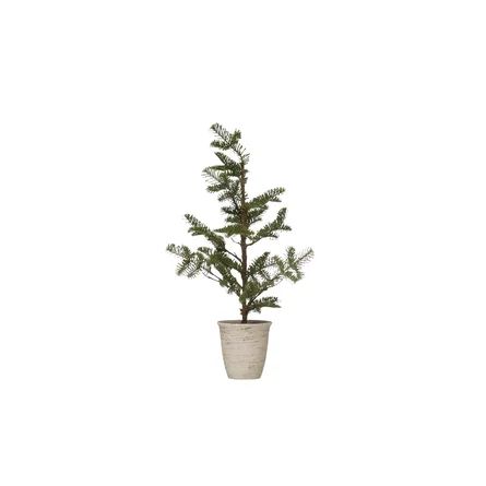 25.5" Pine Tree in Pot | Wayfair Professional