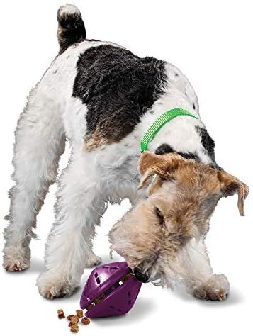 PetSafe Busy Buddy Twist 'n Treat, Treat Dispensing Dog Toy, X-Small, Small, Medium and Large Sizes | Amazon (US)