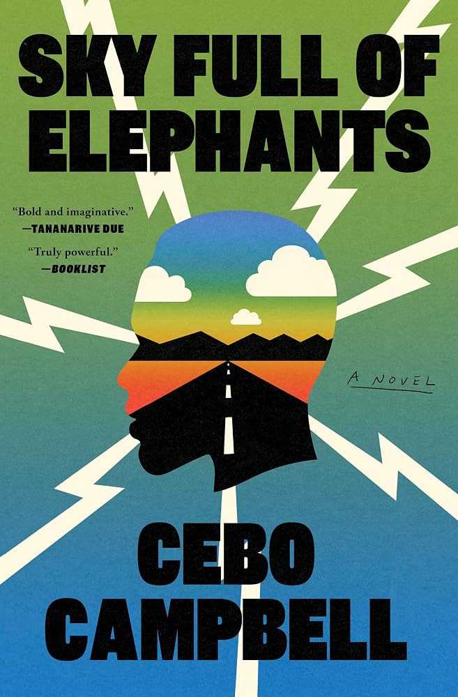 Sky Full of Elephants: A Novel | Amazon (US)