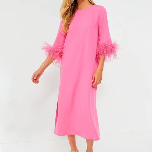 Hot Pink Feather Jamie Dress
TUCKERNUCK | Poshmark