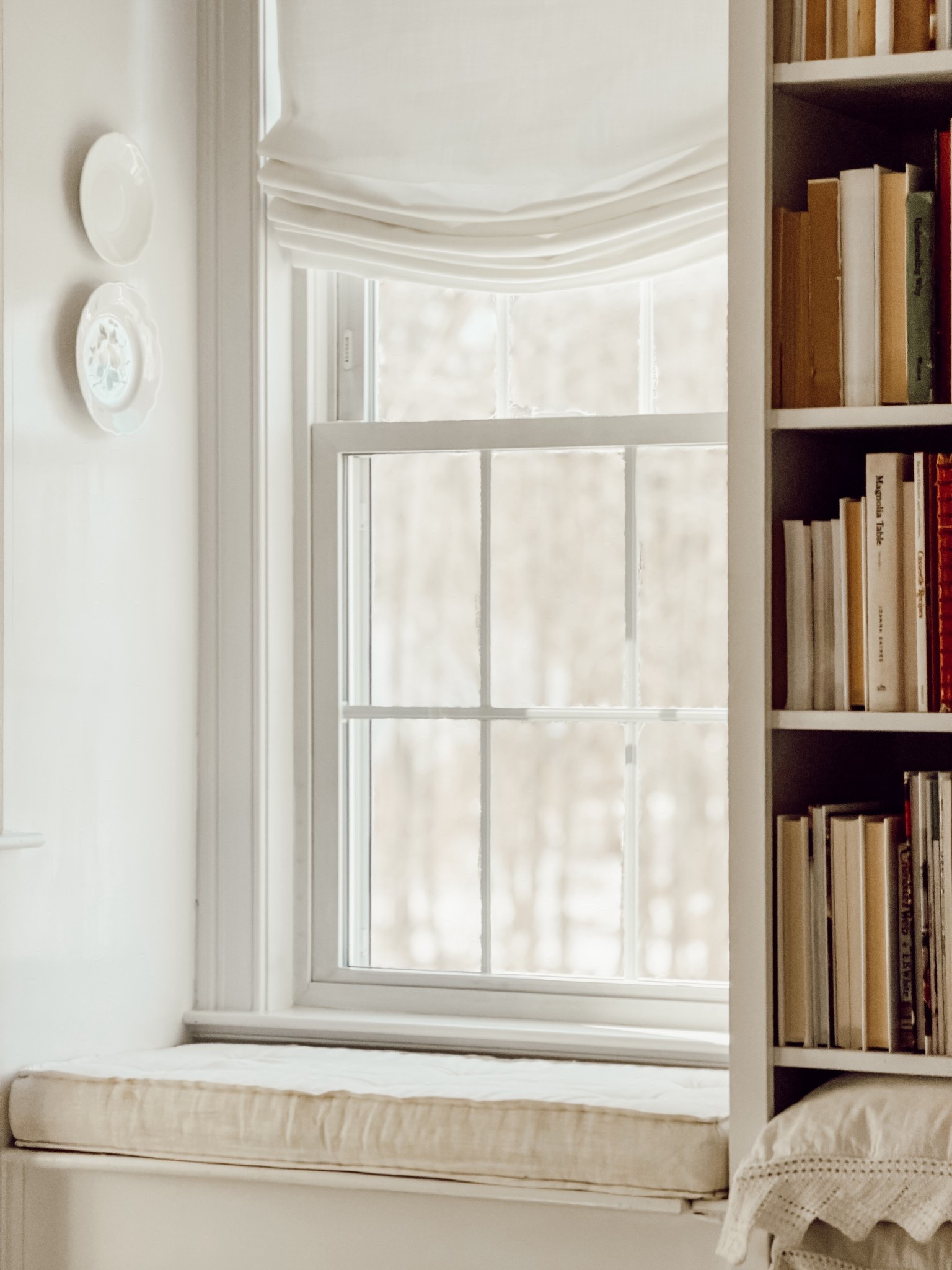 Love the cozy detail of the plates hanging on the inside of the bookshelf.

#LTKHome