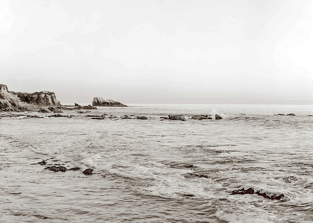 Sepia Tides | Cove Prints