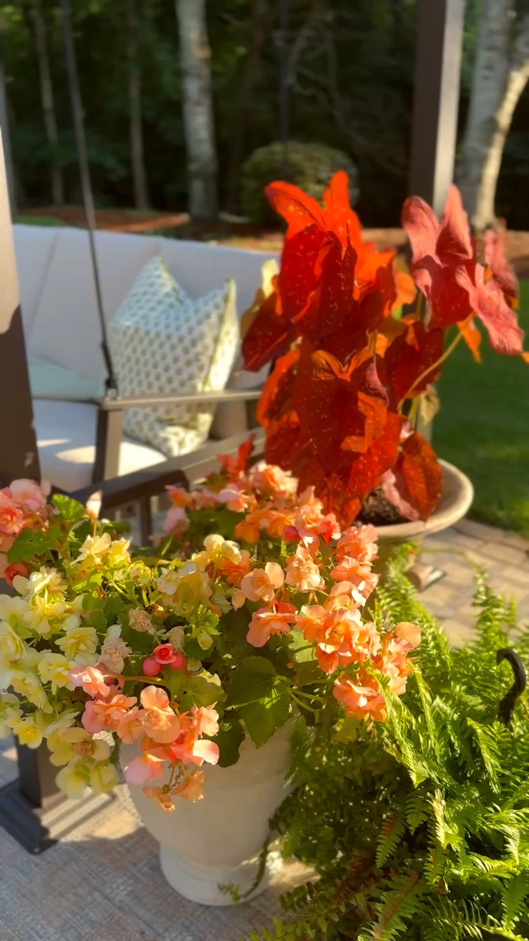 Roundup of pergola swings!