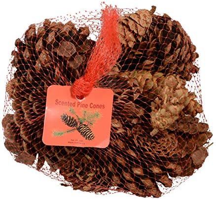 Innovative Fragrances Inc. Cinnamon Scented Pine Cones 12 Ounce Bulk Bag, Made in The USA, Bowl F... | Amazon (US)