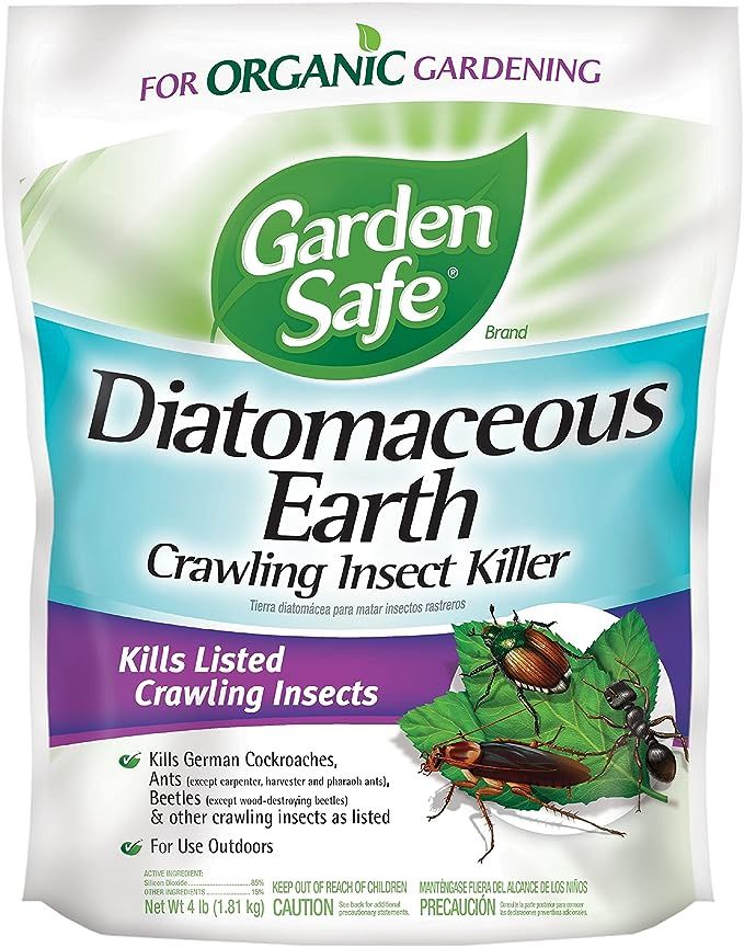 Garden Safe Insect Killer, 1-count | Amazon (US)