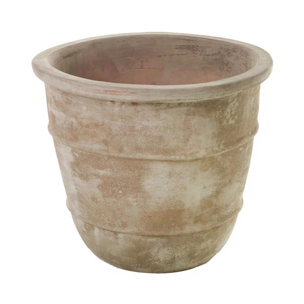 Ceramic Pot Planter | Wayfair North America