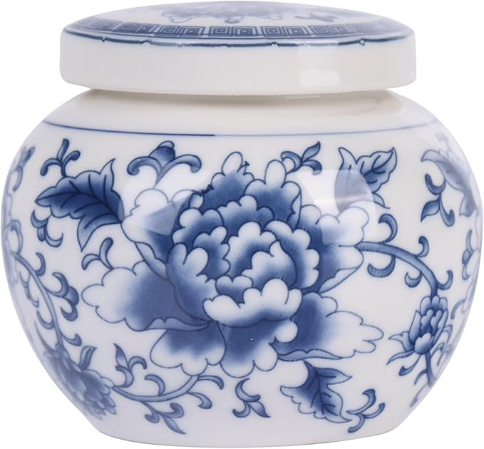 Elegant Mini Blue and White Porcelain Ceramic Ginger Jar With Twist Lid - Modern Twist on Traditi... | Amazon (US)