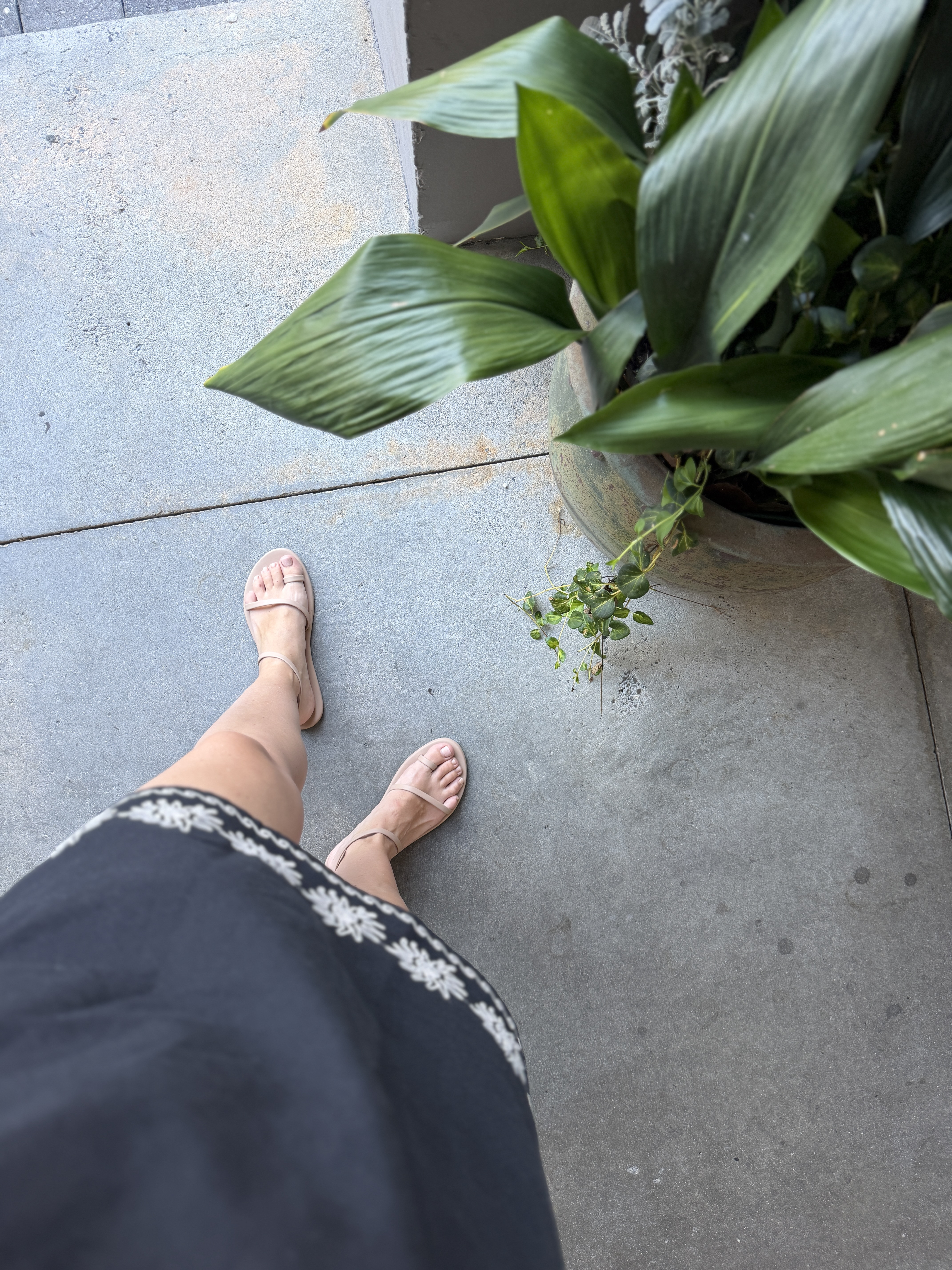 These strappy sandals have been on repeat for me all summer long! 

They're the perfect mix of cute and versatile, and I find myself reaching for them with everything from dresses to shorts to casual everyday outfits. Plus, they come in multiple colors, so it's tempting to grab more than one pair! 
Even better? They're on sale for Prime Day, making this the perfect time to snag them before your favorite color sells out. 

Prime Day Deals, Amazon Fashion, Strappy Sandals, Summer Style, Amazon Finds, Sandal Season, Fashion Favorites, Affordable Style, Summer Wardrobe, Vacation Style, Everyday Style, Prime Day Finds, Style For Less, Deal Alert, Amazon Deals

#LTKgrwm #LTKootd #LTKSaleAlert