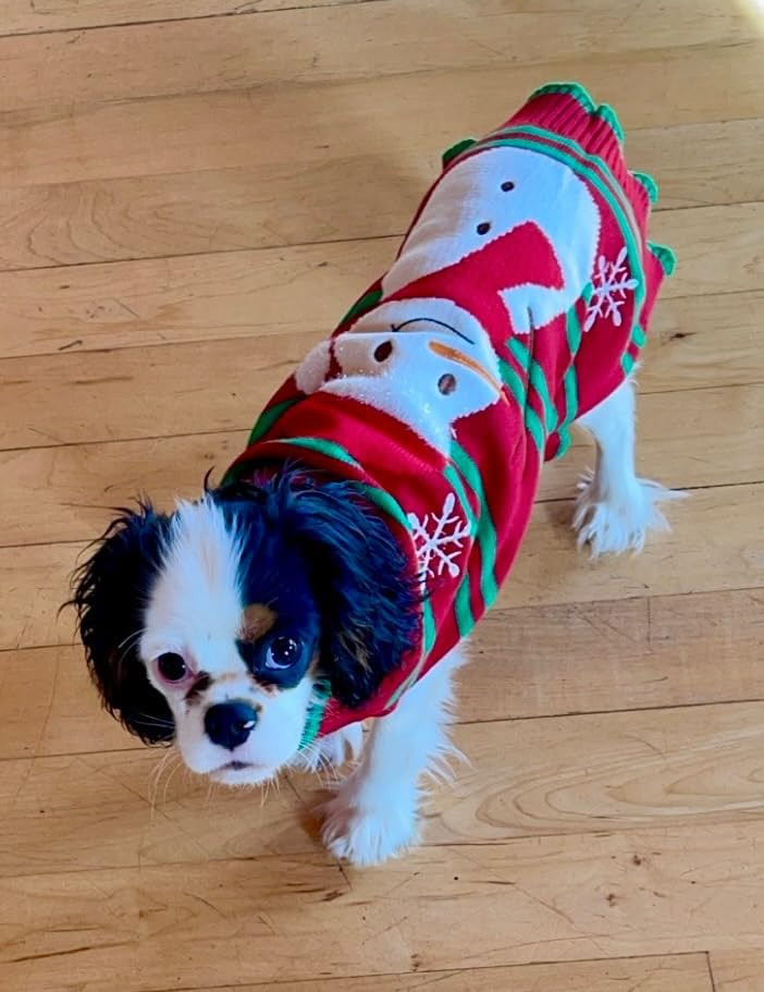 NACOCO Dog Snow Sweaters Snowman Sweaters Xmas Dog Holiday Sweaters New Year Christmas Sweater Pe... | Amazon (US)