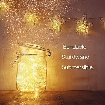 ANJAYLIA LED Fairy String Lights, 10Ft/3M 30leds Firefly String Lights Garden Home Party Wedding ... | Amazon (US)